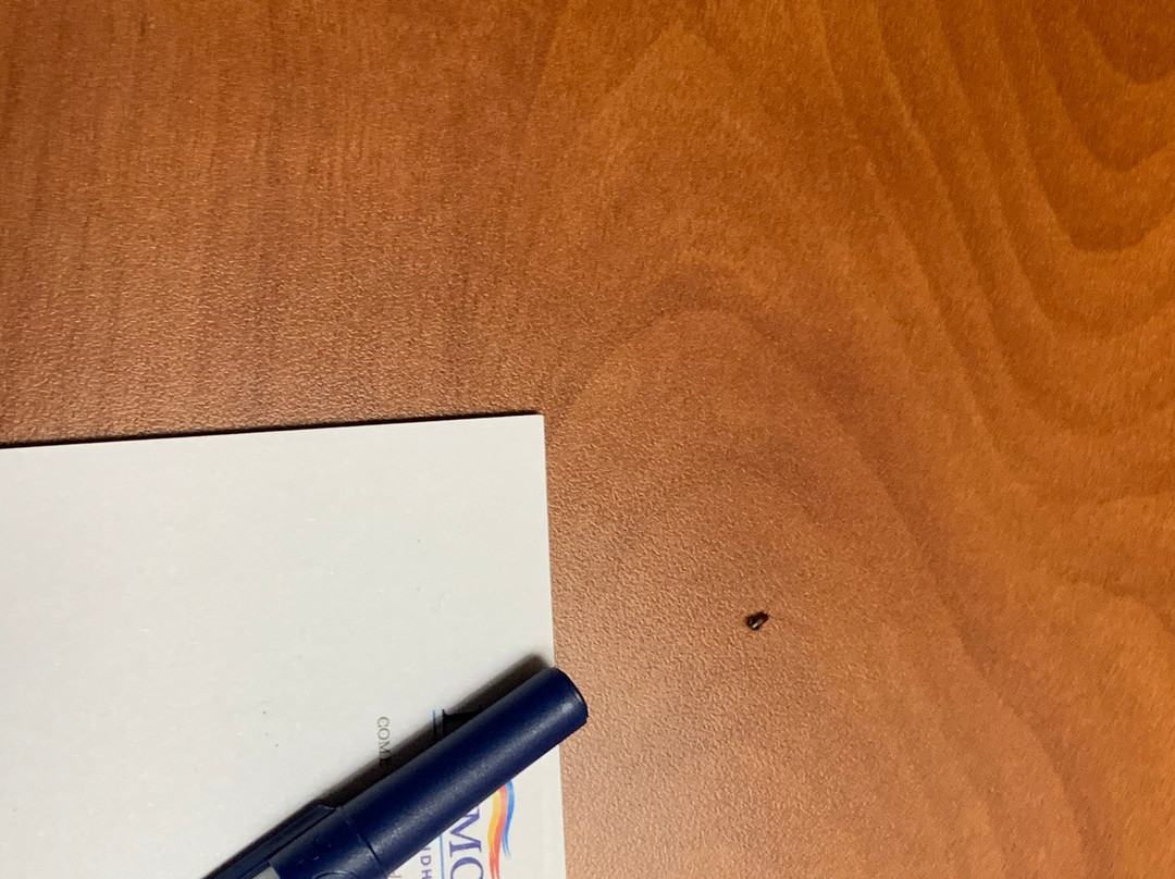 Baymont by Wyndham Bowling Green主图