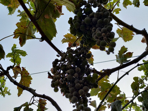 Paraiso Perdido主图