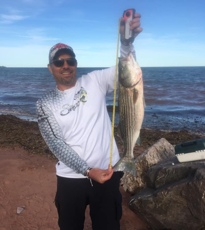 Villa du Capitaine主图