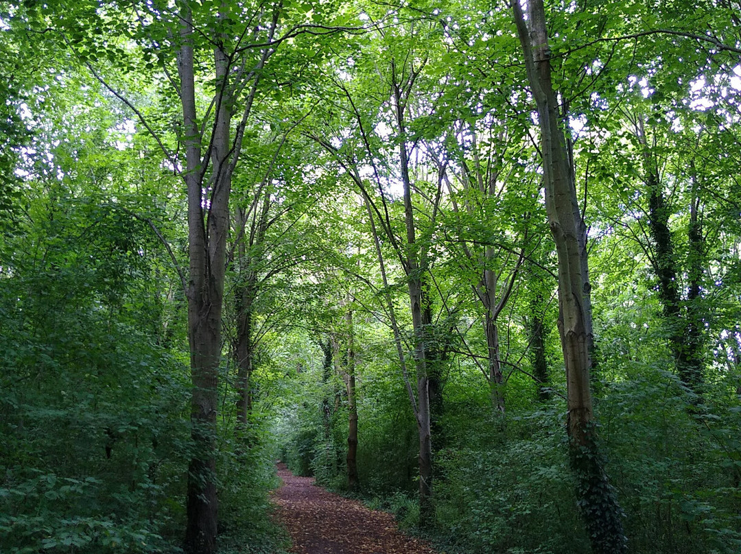 Great Linford Manor Park景点图片