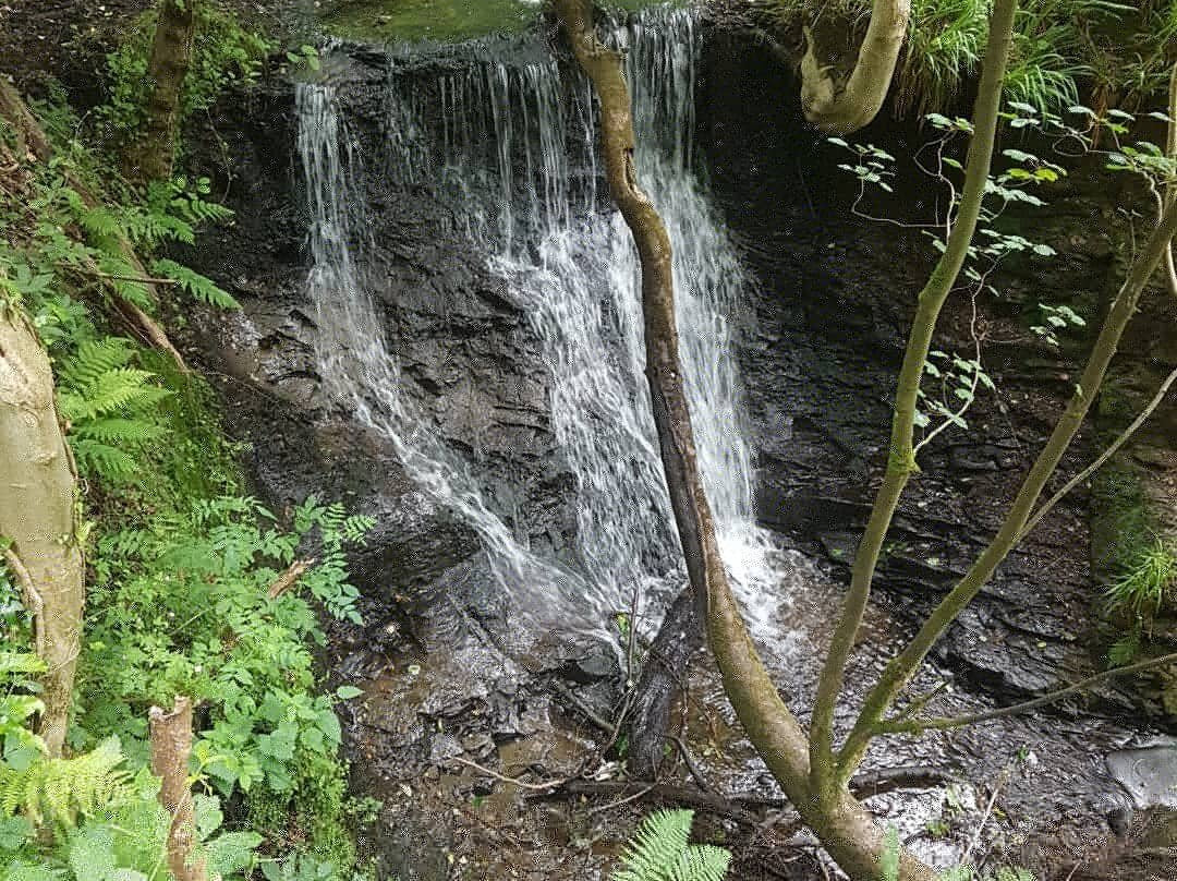 Kildale Falls/old Meggison Falls景点图片