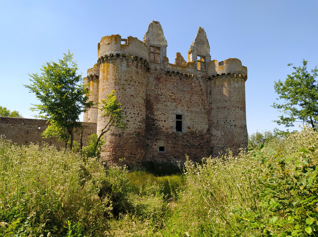 Chateau fort de l'Ebaupinay景点图片