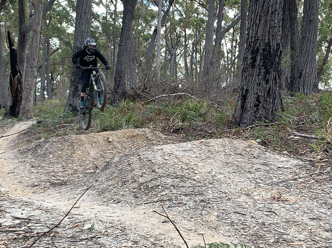 St Helens Mountain Bike Trails景点图片