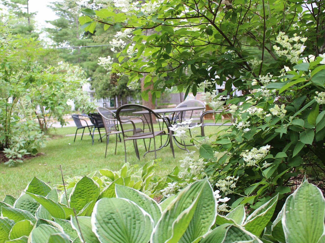 M-22 Inn Glen Arbor主图