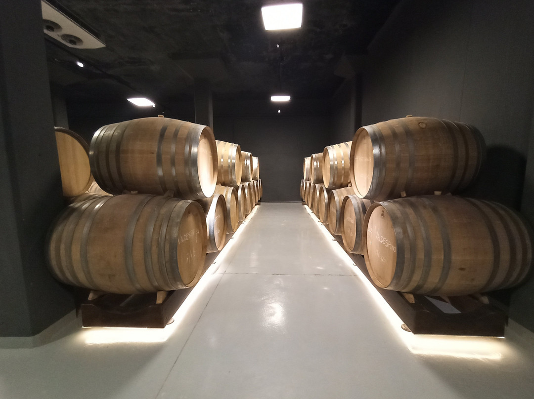 Bodegas Lavia-Cehegin必去景点