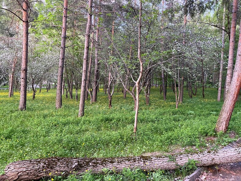 Park Resort Aghveran-浴室