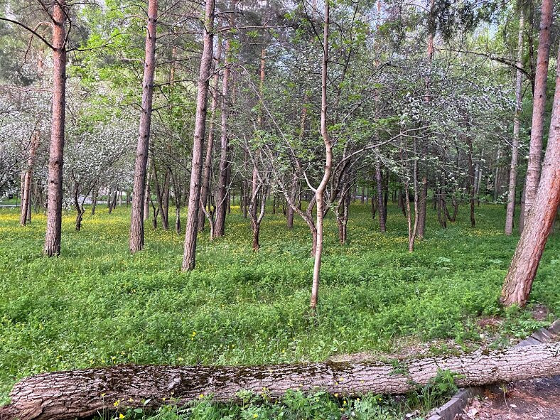 Park Resort Aghveran主图
