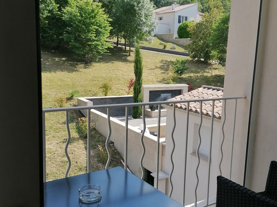 两只狮子酒店主图