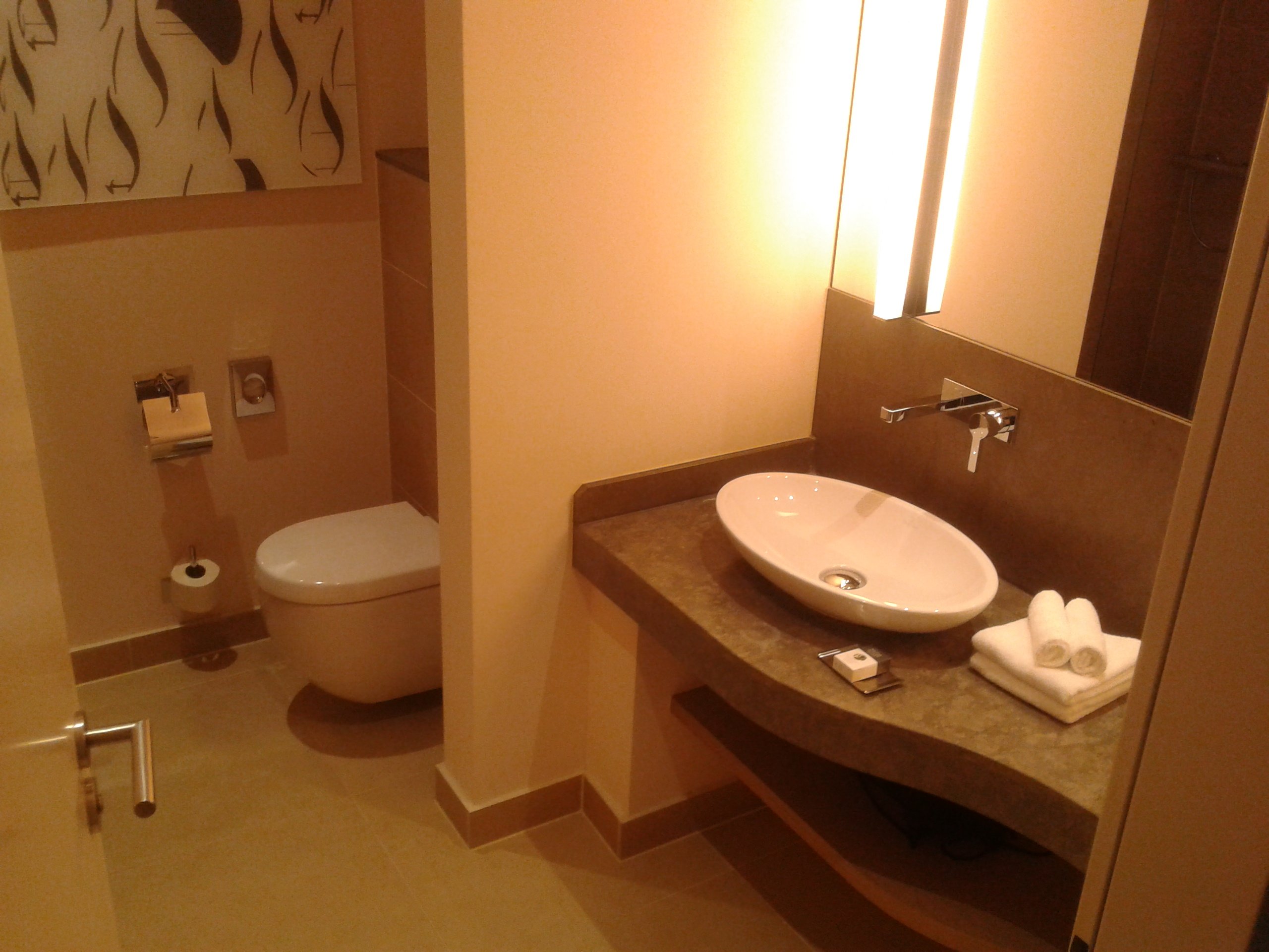 DoubleTree by Hilton Hotel Oradea-浴室