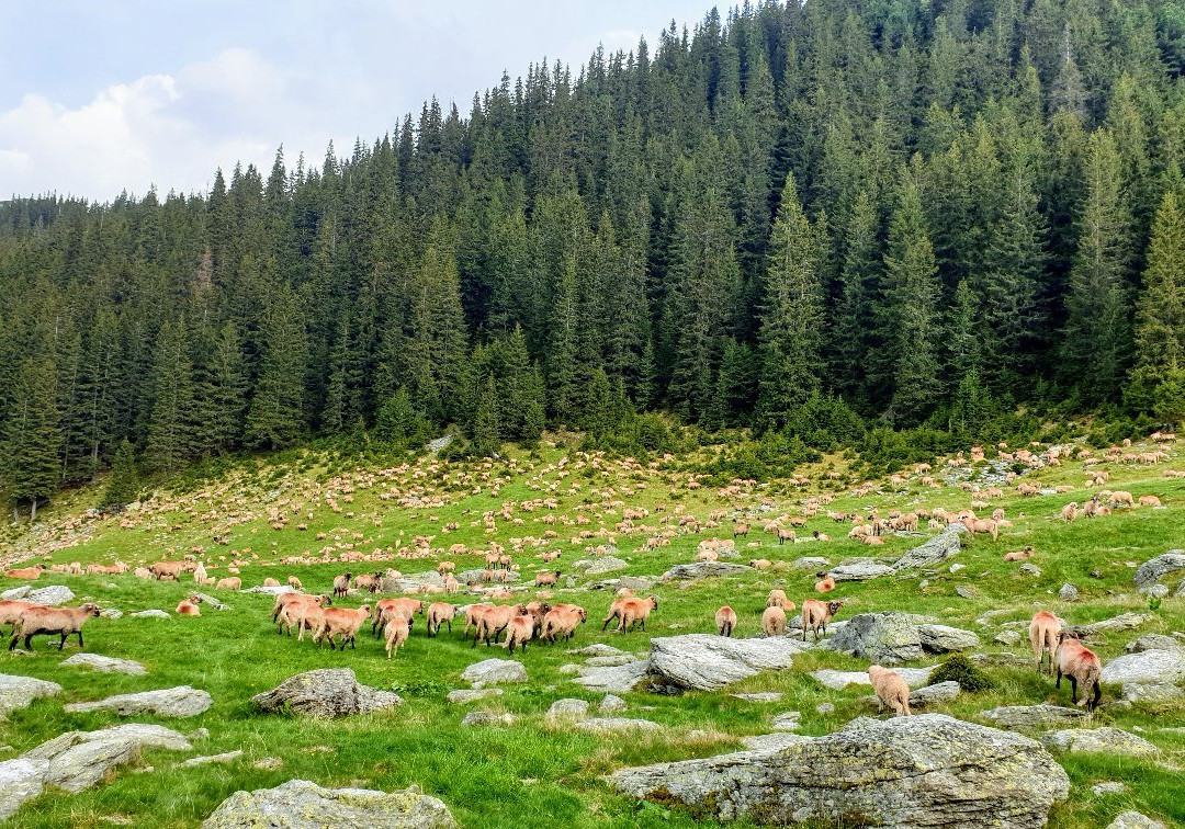 Retezat Mountains景点图片