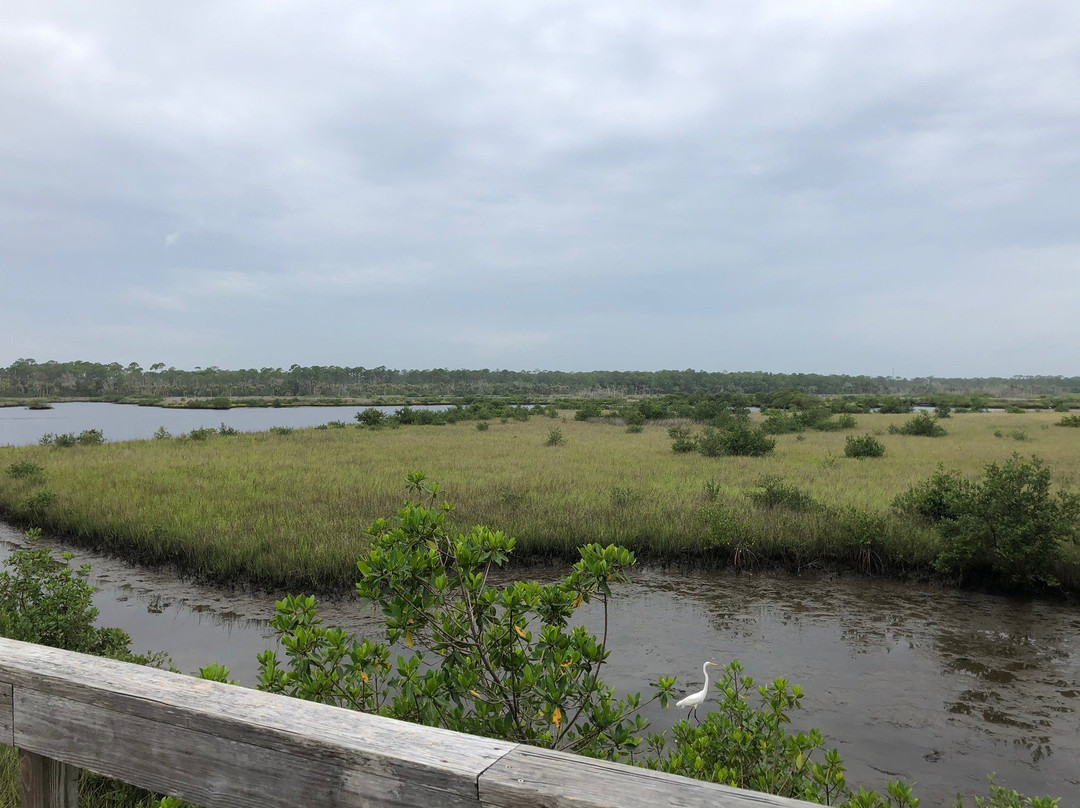 Spruce Creek Park景点图片