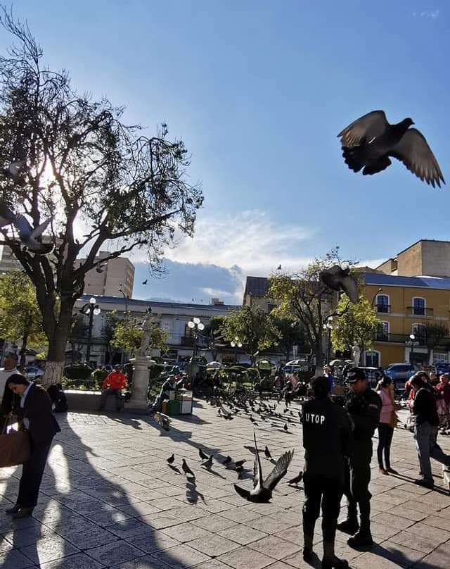 Plaza Murillo-拉巴斯必去景点