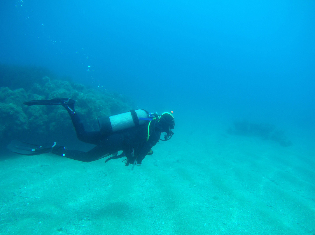 Ileia Dive Center-Pyrgos必去景点