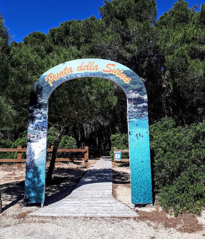 Parco Naturale Regionale Isola di S.Andrea e Litorale di Punta Pizzo,景点图片