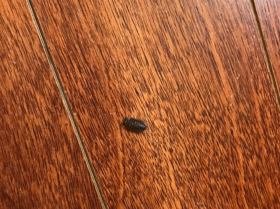 Fairwinds Motel & Restaurant主图