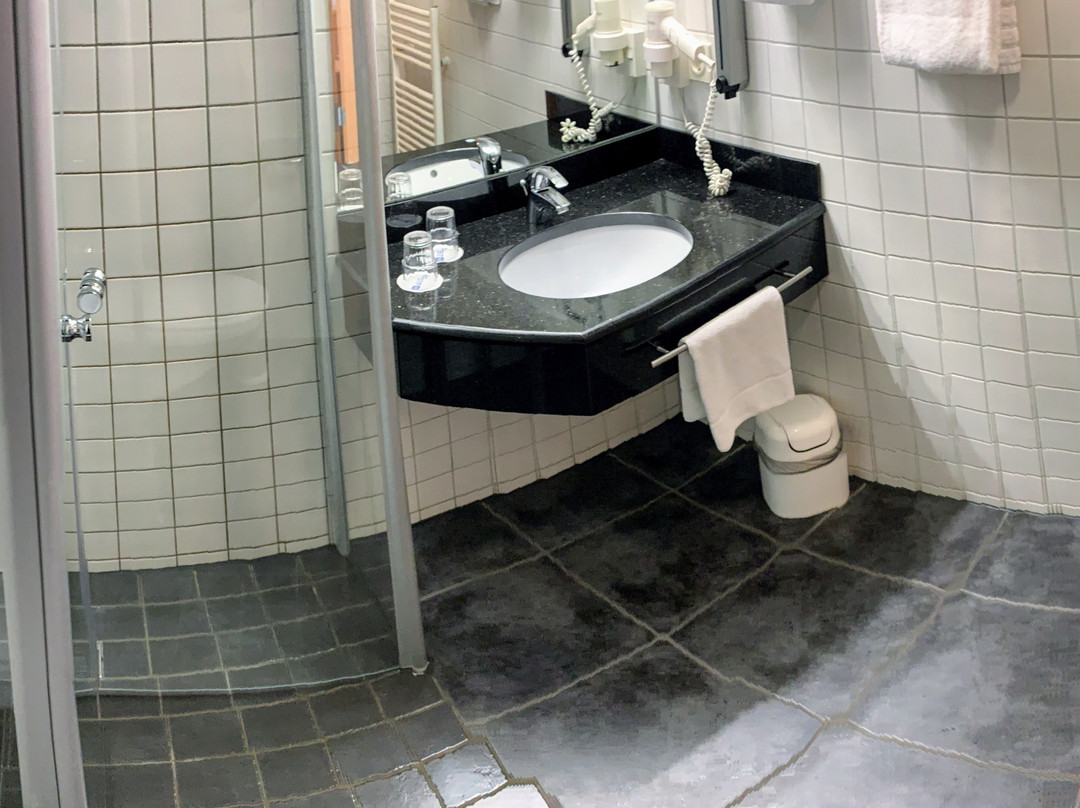 Plaza Inn Stuttgart-ditzingen主图