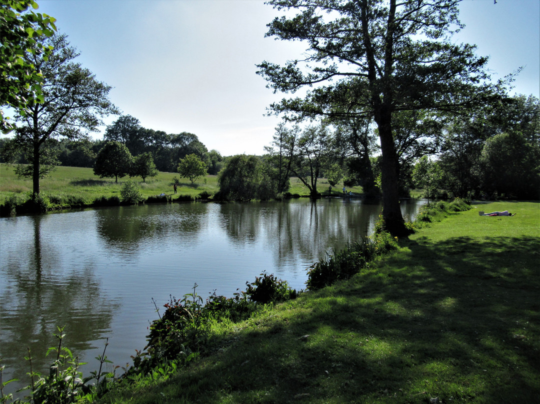 Etang de la taffarette景点图片