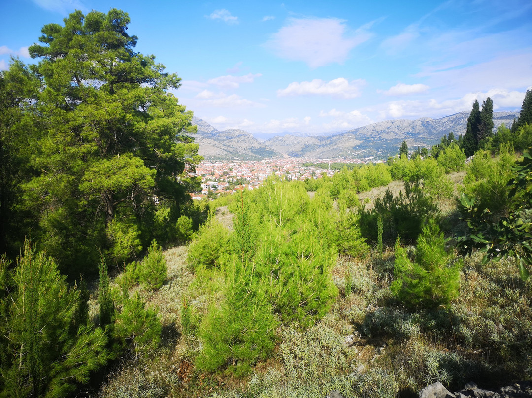 Park Forest Gorica-波德戈里察必去景点