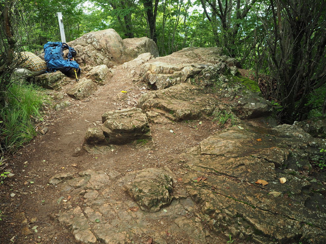 Mt. Izugatake景点图片