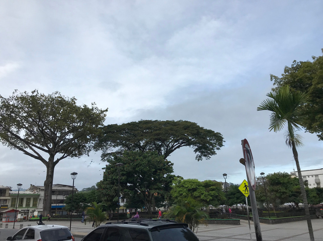 Plaza Bolivar-Chinchina必去景点