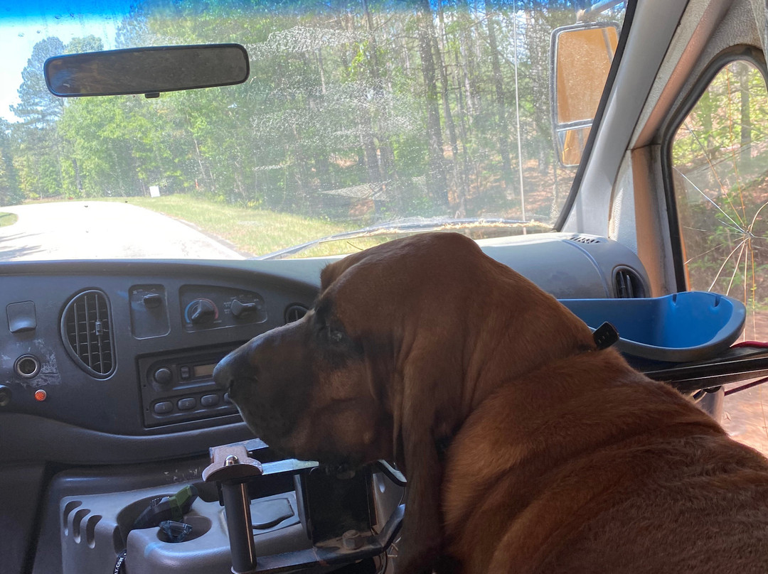 The Sandbar-Bowman必去景点