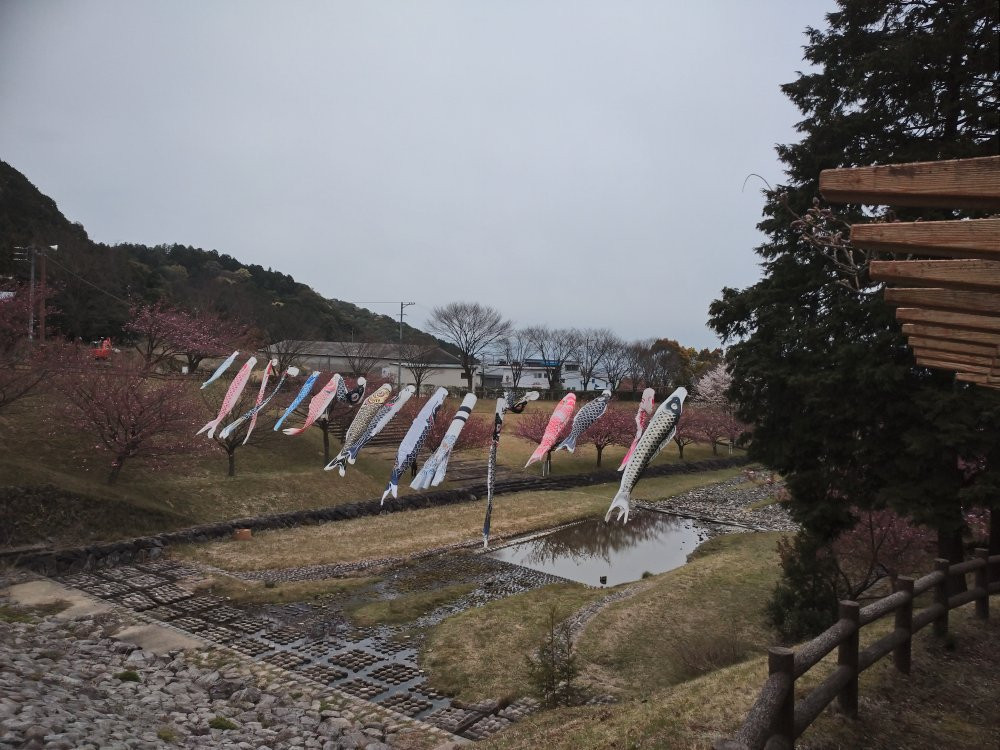 Hanedani Dandan Park-海津市必去景点