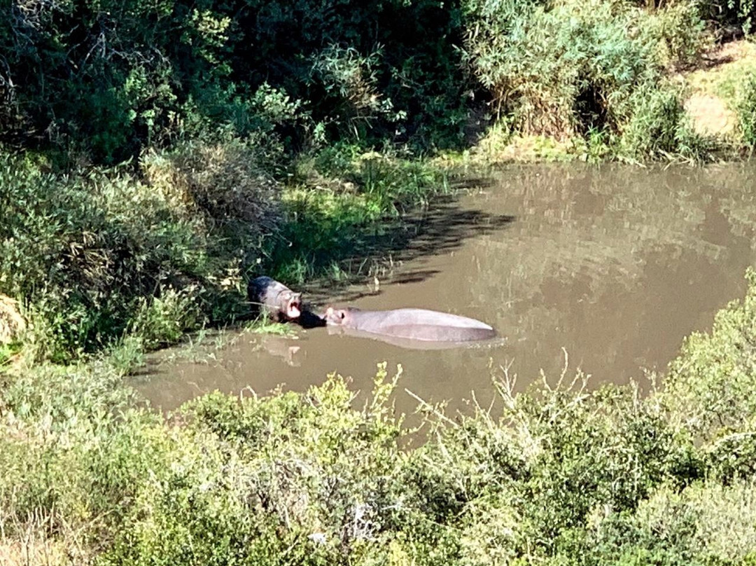 Lalibela Wildlife Reserve主图
