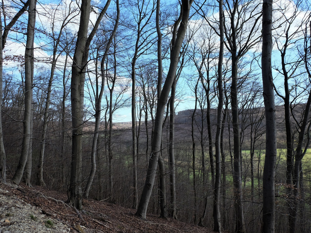 Naturschutzgebiet "Reitlingstal"景点图片