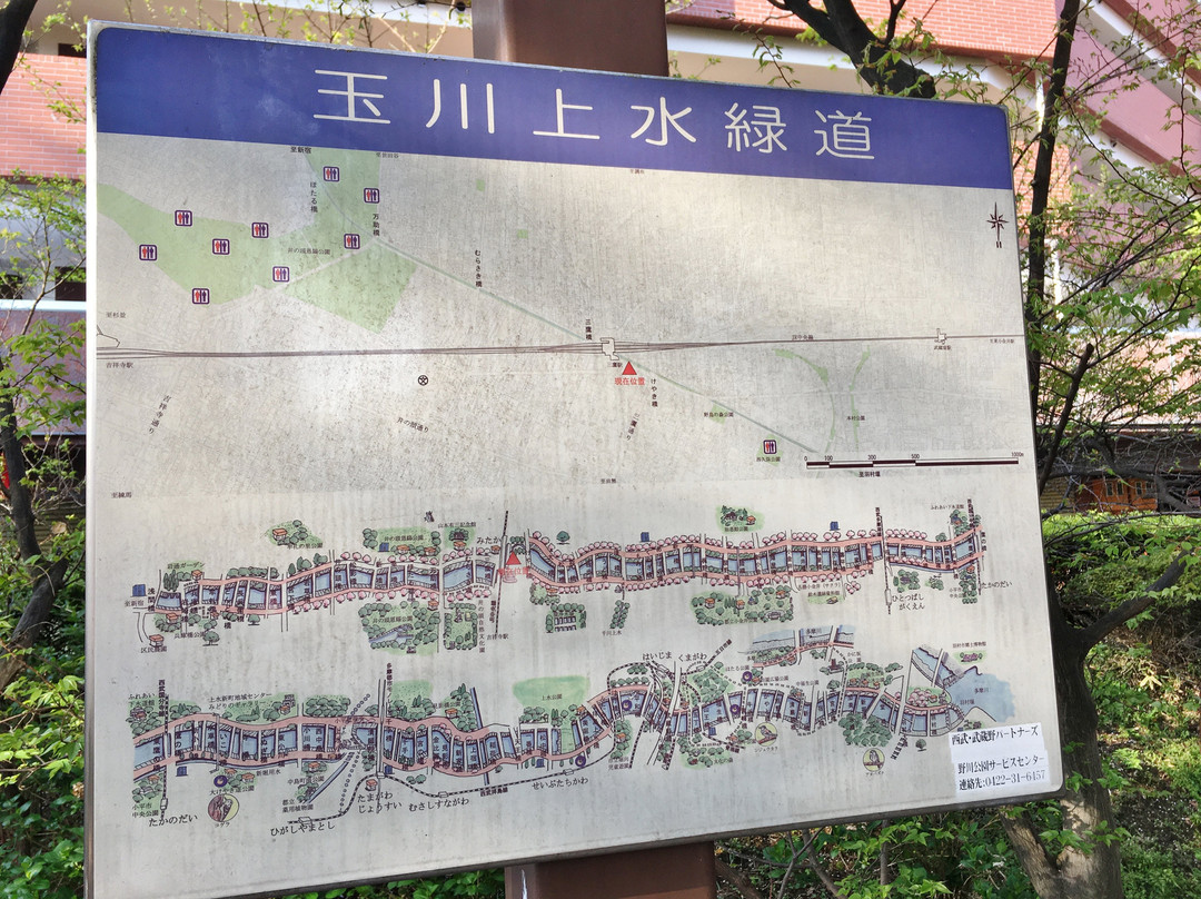 Tamagawa Green Road-三鹰市必去景点
