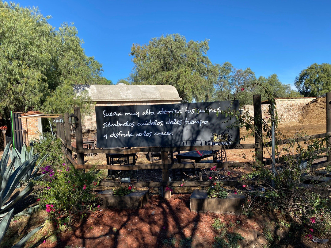 Finca VAI景点图片