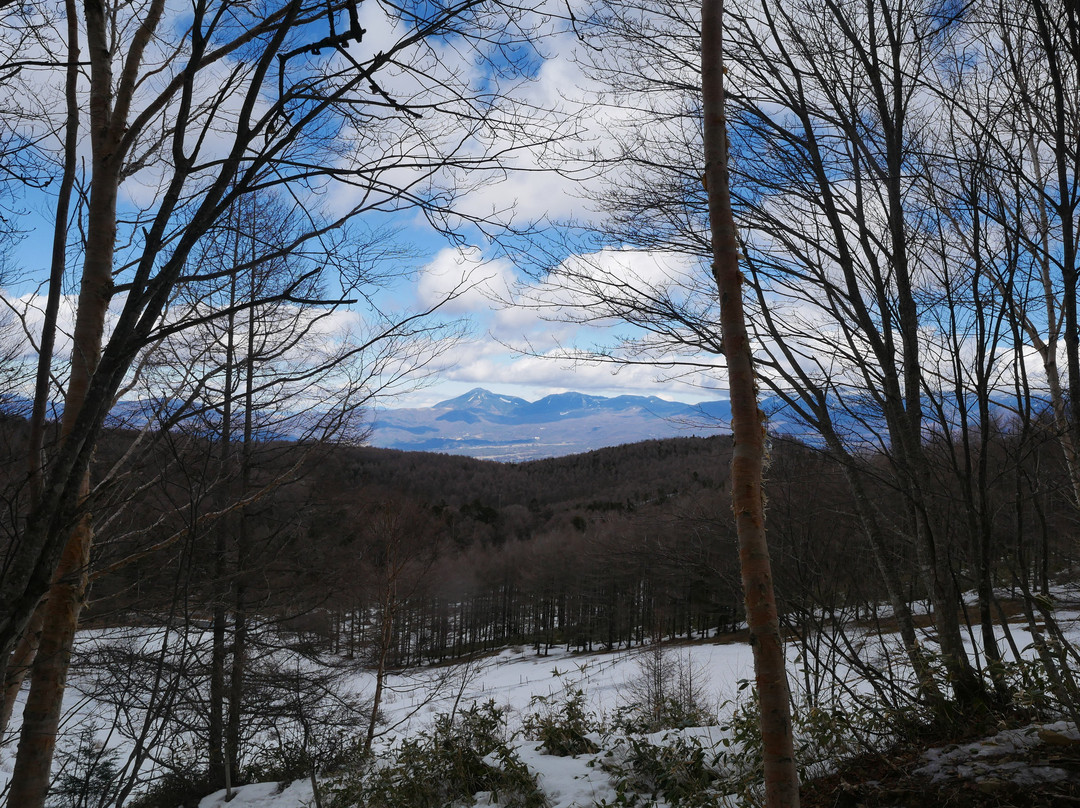 Fujimi Panorama Resort景点图片