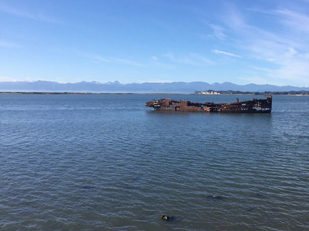 Wreck of the Janie Seddon景点图片