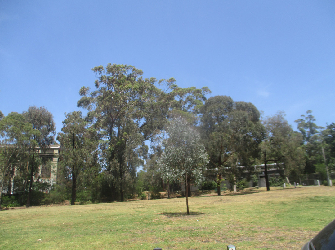 Boroondara Park-Canterbury必去景点
