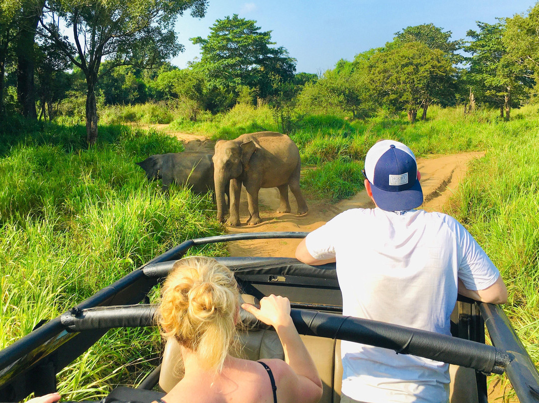 Sri Lanka Jeep Safari景点图片