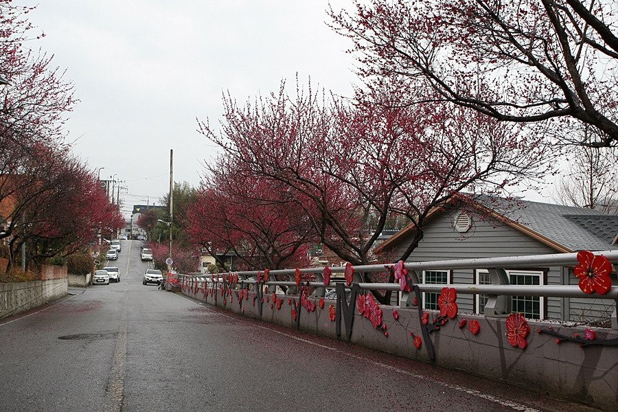 Maegokdong Tammae Village-顺天市必去景点