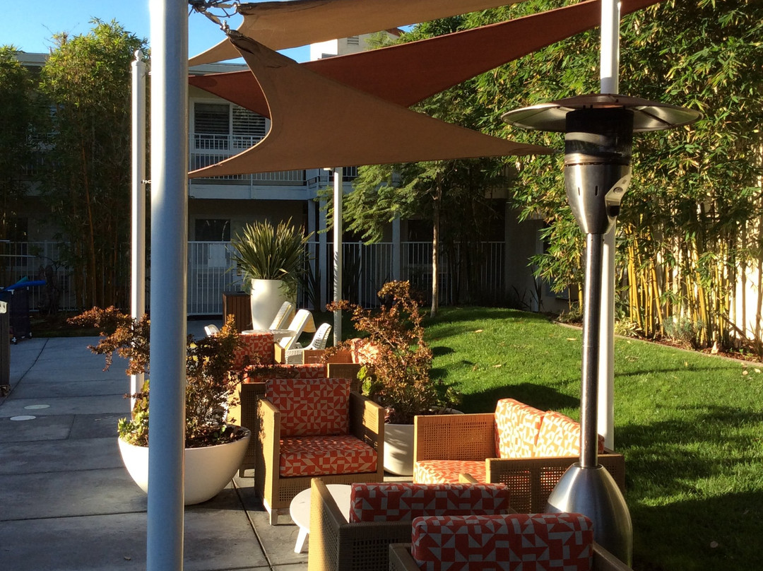 杰德威尔野棕榈酒店主图