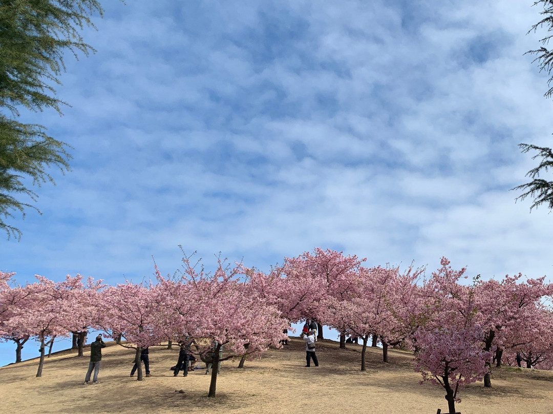 Isesaki Shimin no Mori Park-伊势崎市必去景点