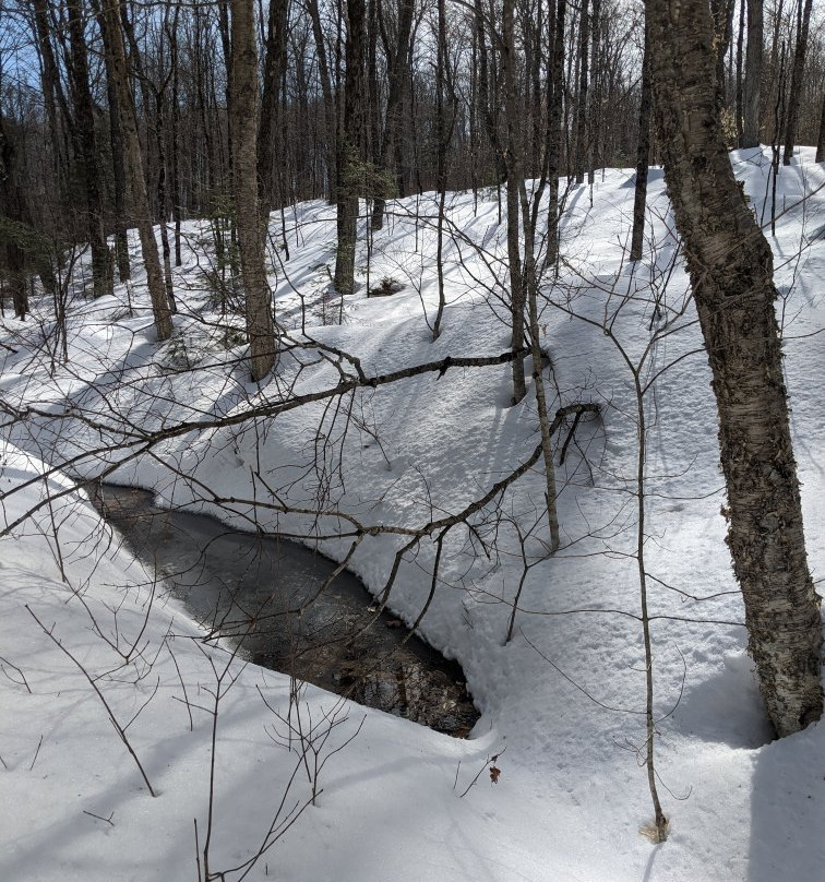Haliburton Highlands Water Trails-Haliburton必去景点