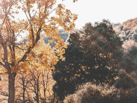 Ruta Dehesa de Camarate-Lugros必去景点