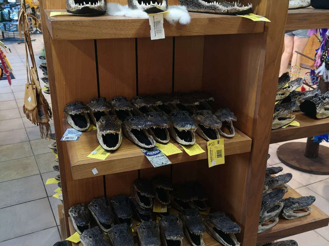 Billie Swamp Safari-克莱维斯顿必去景点