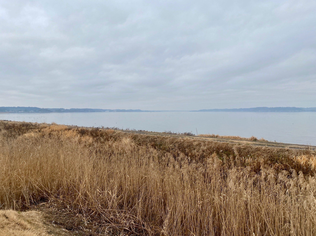 Hinuma Nature Park景点图片