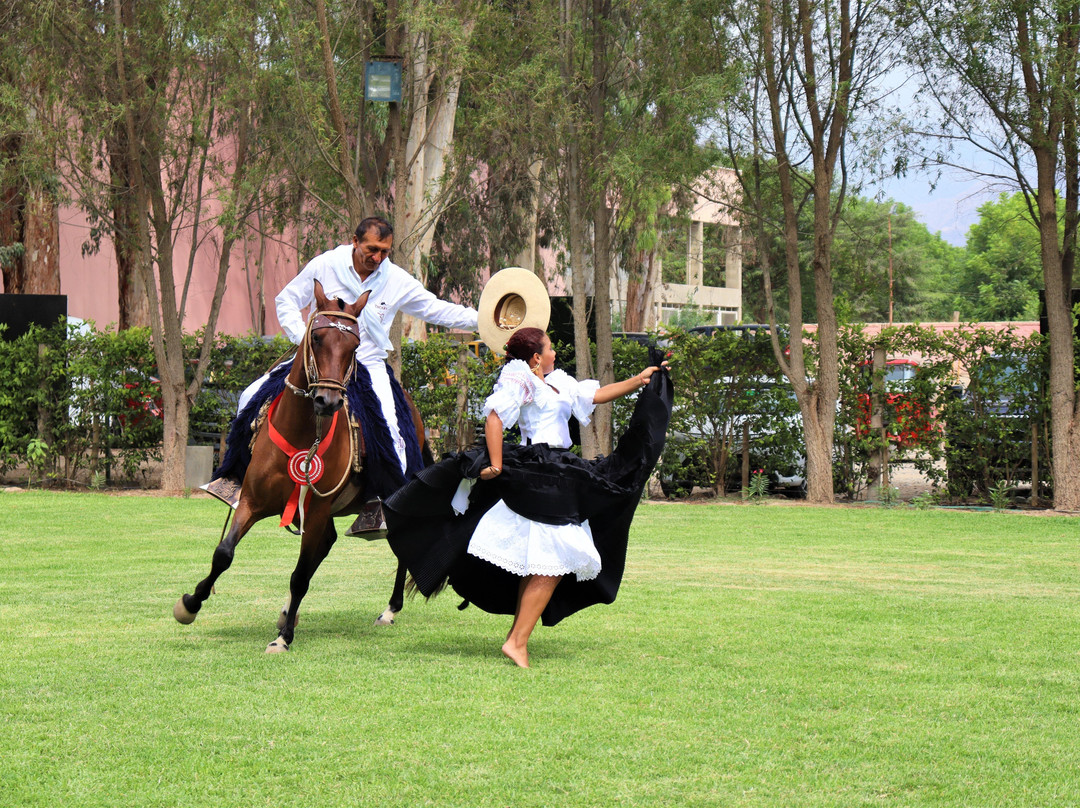 Travel Adventures Peru-Huacachina必去景点