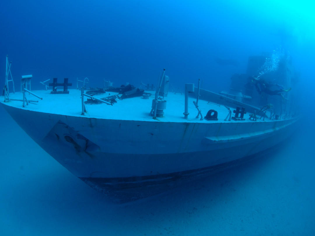 Nautic Team Gozo景点图片