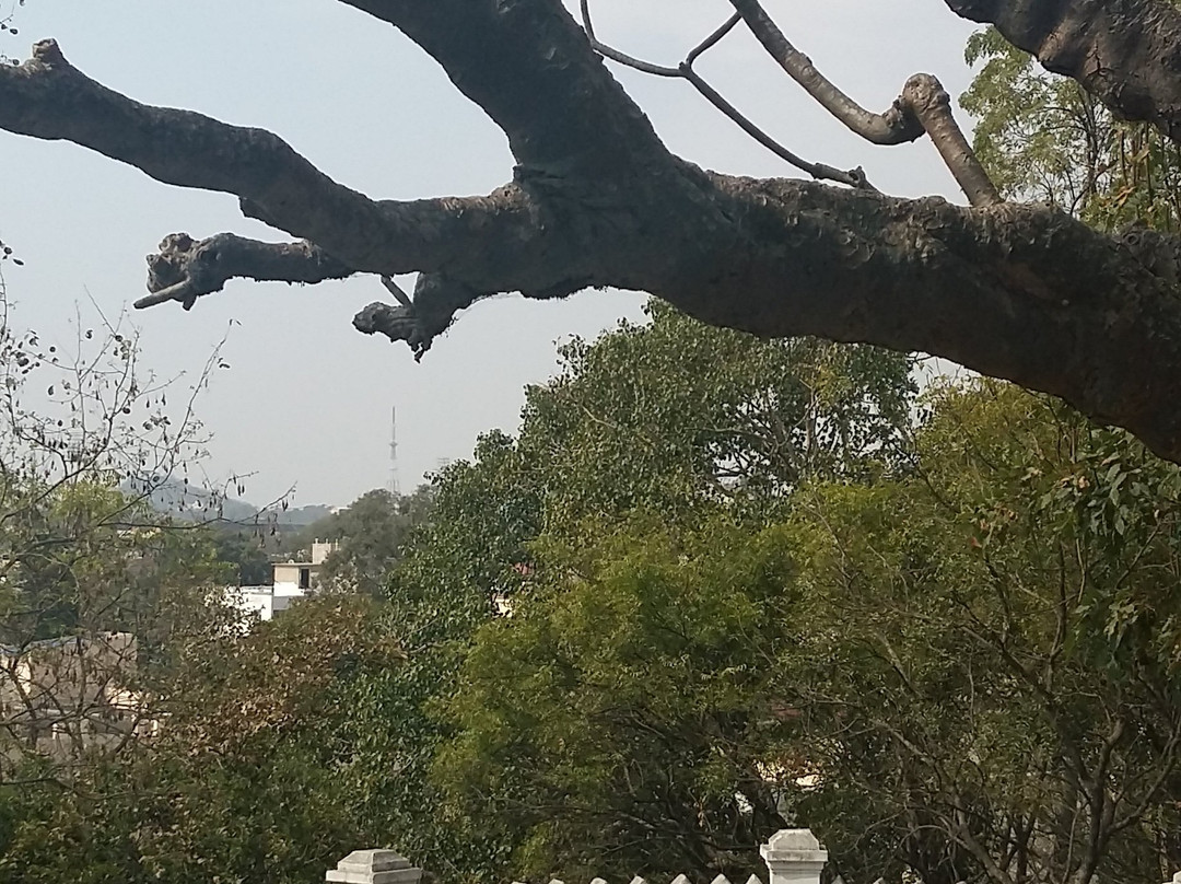Tagore Hill景点图片
