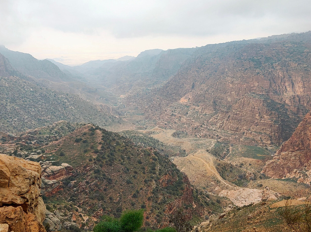 Dana Guesthouse主图