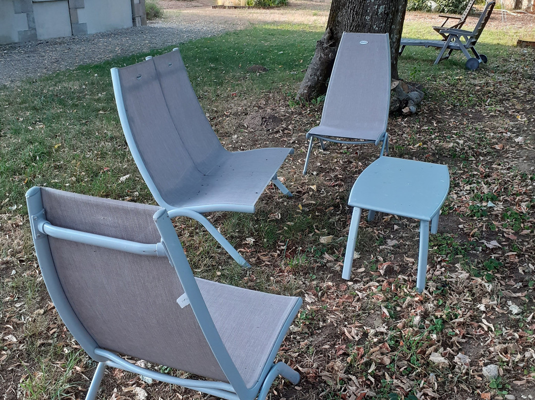 B&B Chateau des Bretonnieres sur Vie主图