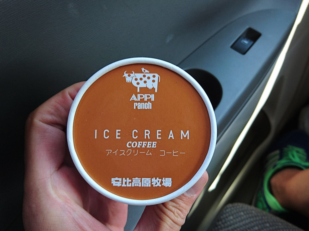 Michi-no-Eki Ishigami no Oka-岩手町必去景点