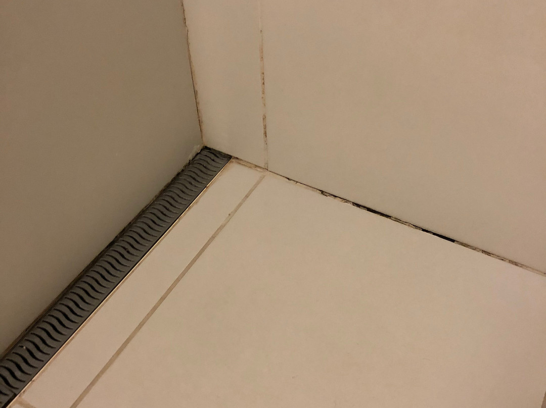 Intercity Bauru主图