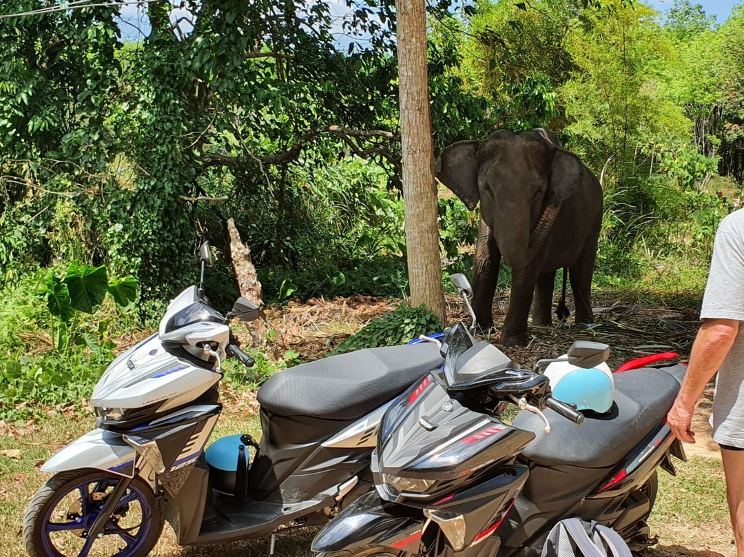 KRABI AO NANG Scooter-奥南必去景点
