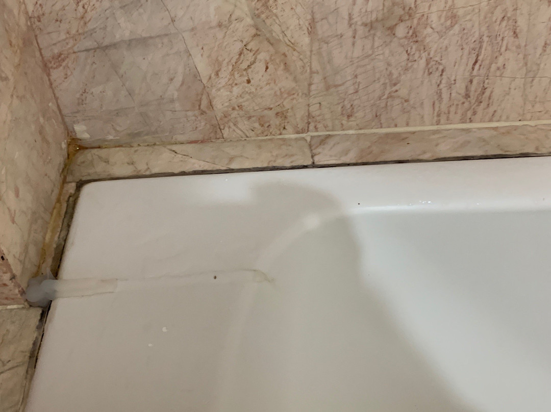 大观园酒店&服务式公寓主图